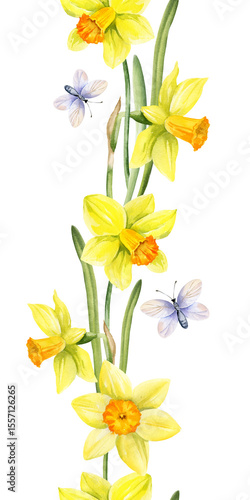 yellow flowers with flying butterflies, vertical seamless border of hand drawn watercolor daffodils, narcissus, spring Easter illustration of jonquils bouquet, green leaves, party, kitchen decoration