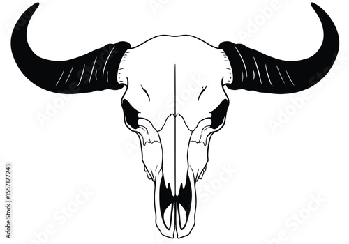 Buffalo skull drawing. It is a black and white outline image of a bovine cranium with large, curved horns, depicting its imposing skeletal form. Vector sketch line art draw.