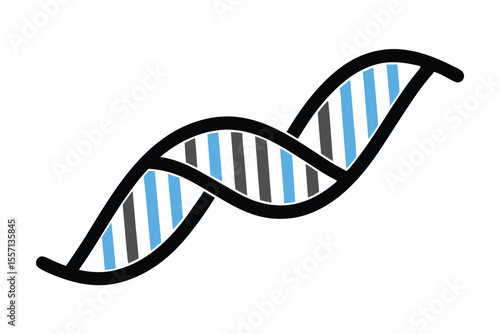 DNA Strand Illustration with Black Outline, Blue and Gray Rungs on a White Background