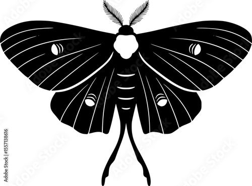 luna moth line art silhouette vector illustration
