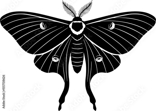 luna moth line art silhouette vector illustration
