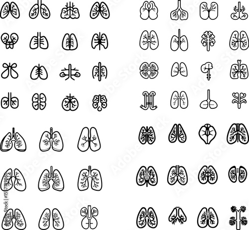 lungs icon lung health respiratory system breathing icon pulmonary icon lung anatomy healthy lungs damaged lungs human lungs lung scan chest X-ray icon lung disease lung care lung fun