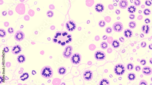 Histological slide of thyroid follicles, stained with hematoxylin and isomer, showing colloid cells (pink) and follicular cells (purple nuclei), with a realistic capillary reticulum pattern. 