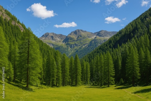 Explore the scenic beauty of Gran Paradiso Park