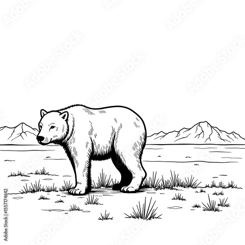 Polar bear in tundra landscape, survival tour illustration, line art style