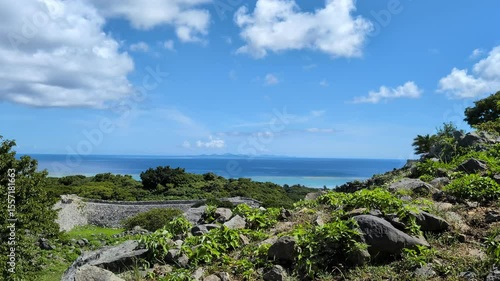 沖縄　やんばるの自然と海　鳥と虫の鳴き声