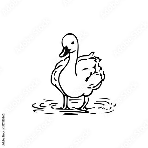 elegant waterfowl line art