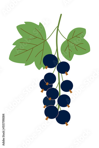 Branch of ripe black currants with leaves. Cute vector illustration for design of label for jam can, berry cake recipe, stickers on white isolated background. Vertical format.	