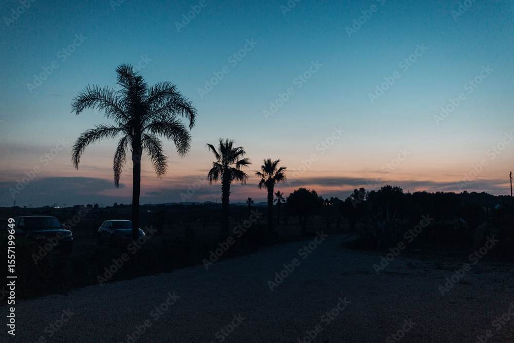 Obraz premium Evening Parking Lot Among Palm Trees with Warm Sunset Light and Tropical Atmosphere