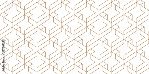 Geometric Pattern: A visually striking geometric pattern showcasing an array of interconnected lines, forms an intriguing design, perfect for various applications.