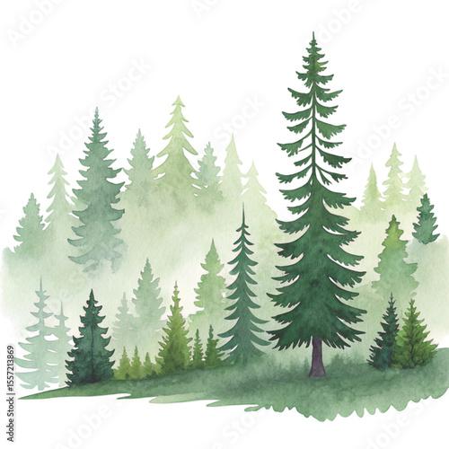 forest nature green tree clipart Watercolor 