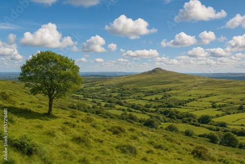 Wallpaper Mural Scenic view of Dartmoor's landscape close to Princetown Torontodigital.ca