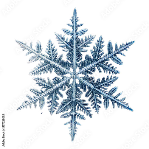 Details snowflake isolated on transparent background. 