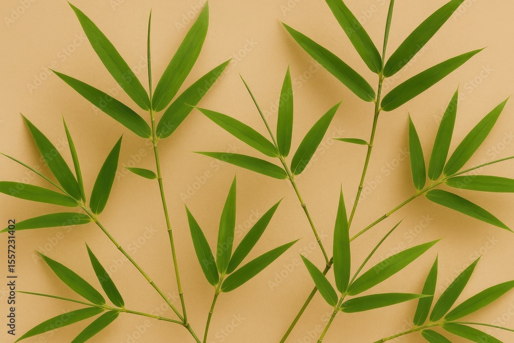 Fototapeta premium Detailed view of bamboo branches against a beige backdrop