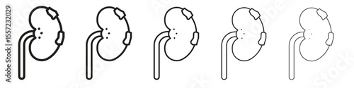 Kidney disease iconBlack linear bold and thin strokes set