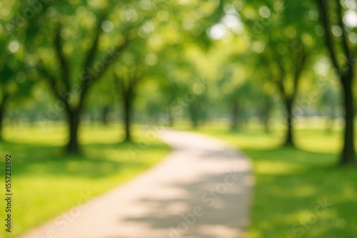 Fototapeta Naklejka Na Ścianę i Meble -  Abstract blurry pathway in a park with a bokeh backdrop
