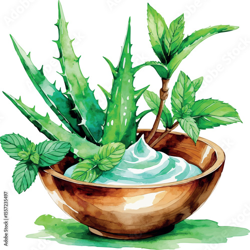 Watercolor vector of herbal face mask with aloe vera and mint for natural skincare