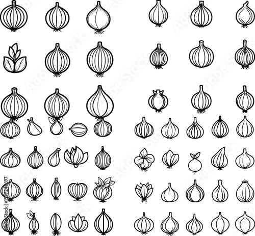 garlic icons vegetable healthy food farm agriculture farming garden fresh produce garlic design edible organic garlic plant bulb farm produce farming tools plant-based garlic growth g