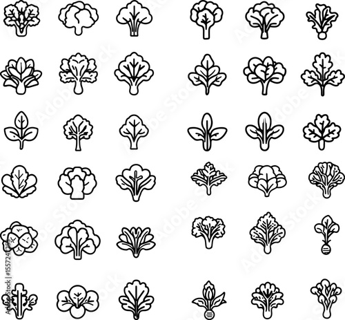 spinach icons vegetable healthy food farm agriculture farming garden fresh produce spinach design leafy greens organic spinach plant seasonal vegetable spinach symbol farm produce far