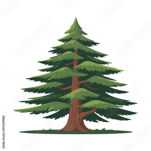 Cedar Tree Illustration with Dense Green Foliage and Brown Trunk