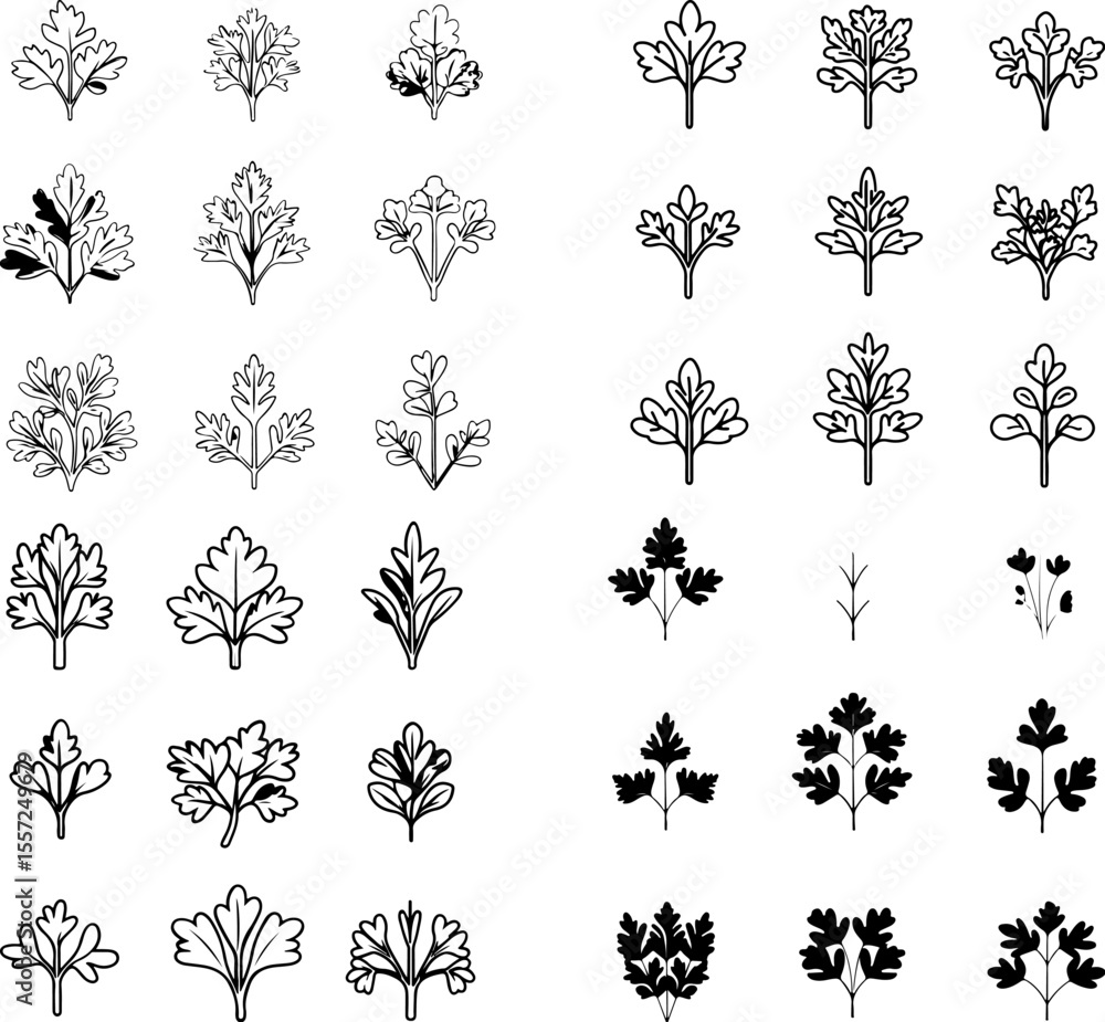 Obraz premium cilantro icons herb fresh food healthy garden gardening organic cilantro design cilantro plant culinary herb aromatic medicinal plant cilantro symbol plant-based herb garden cilantro