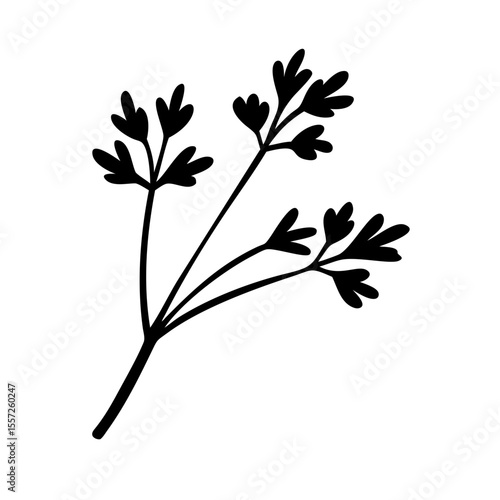 Simple herb sprig illustration. Black and white herb illustration perfect for culinary designs.  Elegant herb graphic for food blogs or restaurant menus.
