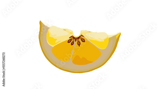 Lemon slice, color vector illustration, fresh and citrusy design