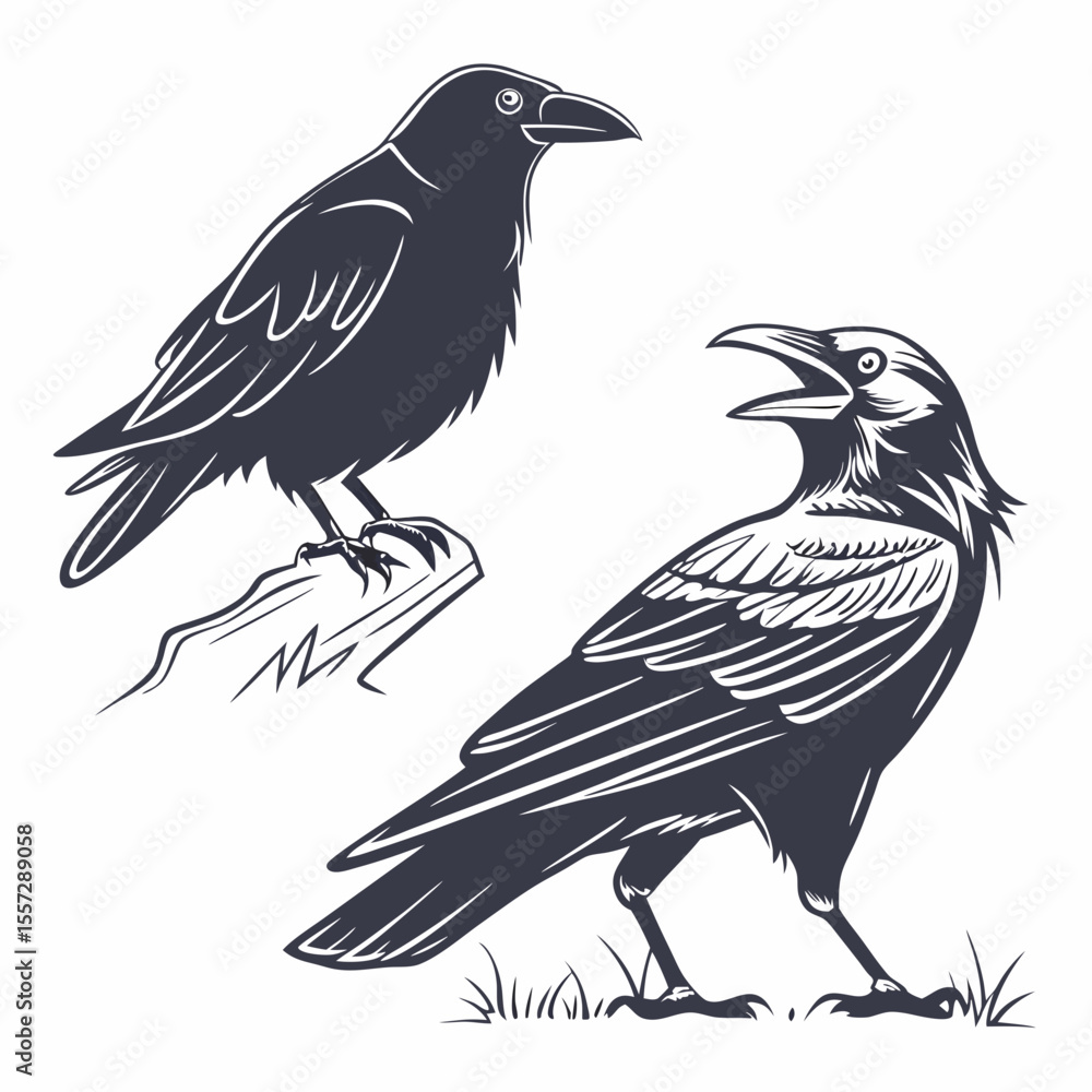 Fototapeta premium Dark crows perched and standing raven bird