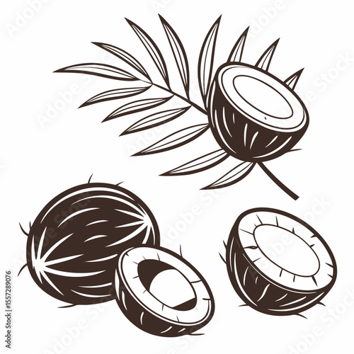 Coconut halves and whole with palm frond tropical fruit