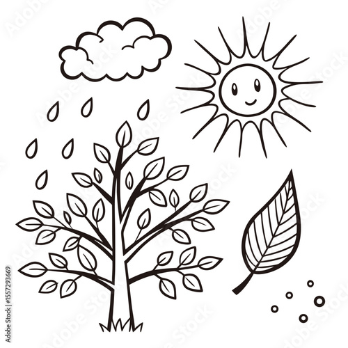 Happy sun raining on leafy tree and single leaf nature