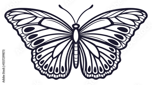 Butterfly silhouette with intricate wing details