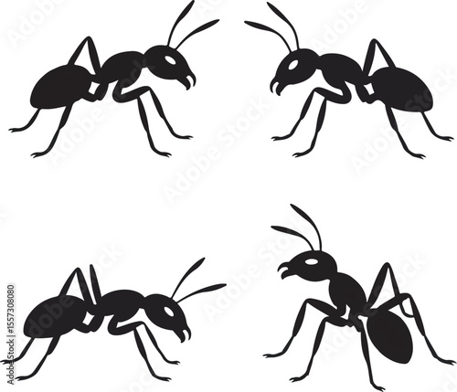 Four Black Ant Silhouettes Different Poses Insect Vector Graphic Illustration White Background ants