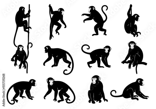 Black Silhouette Various Monkeys Animal Silhouette Wildlife Mammal Jungle Icon