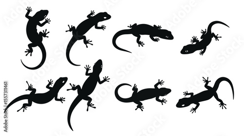 Tableau sur toile Variant style of lizard silhouette set, flat lizard vector illustration, black color isolated on a white background