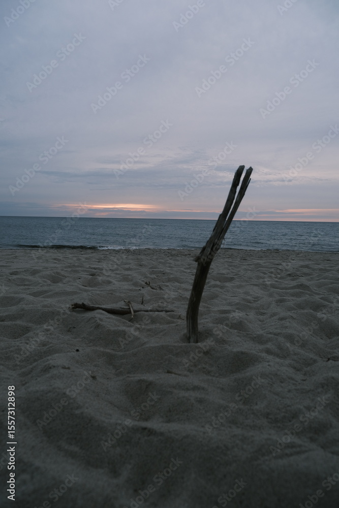 Fototapeta premium Stick in the Sand with Ocean and Sunset Horizon