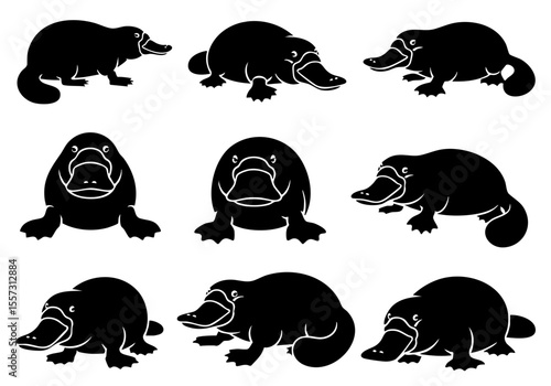 Silhouette Cute Platypus Animal Icon Poses Collection with Various Perspectives