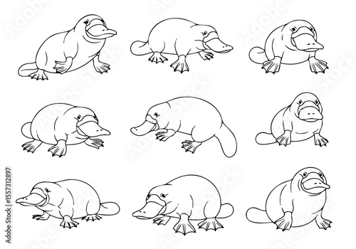 Handdrawn Lineart Diverse Platypus Animal Illustration Set Isolated on White Background