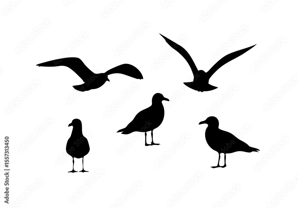Fototapeta premium Silhouette Group of Sea Gull Flying and Standing Wildlife Illustration