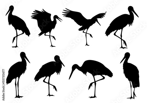 Artistic Silhouette Various Poses Crane Bird Wildlife Animal Illustration