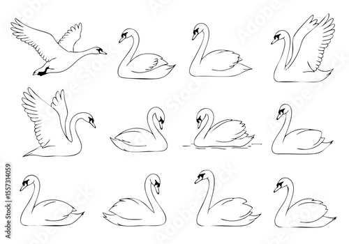 Line Art Simple Swan Bird Illustration Icon Set Collection