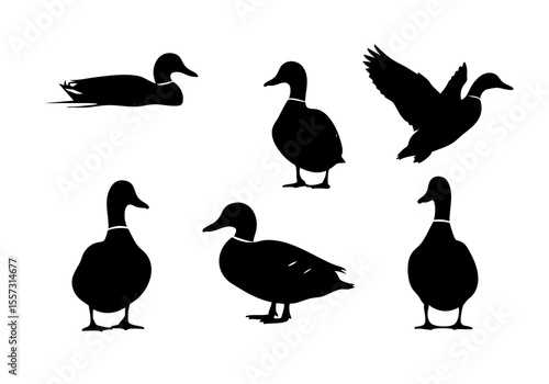 Silhouette Style Duck Collection Illustration for Ornithology and Wildlife