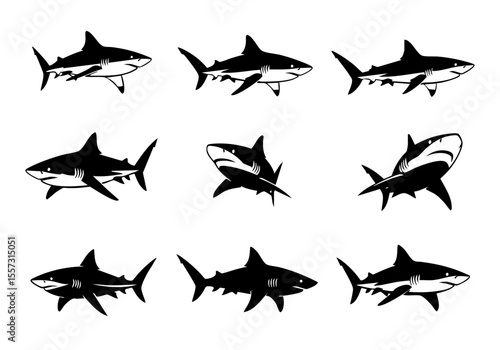 Silhouette Detailed Shark Marine Life Underwater Animal Creature Illustration