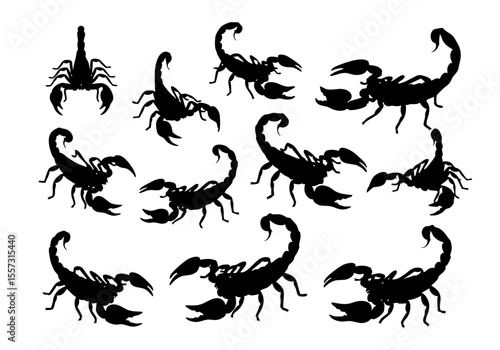 Silhouette Detailed Scorpion Animal Insect Dangerous Predator Creature Illustration