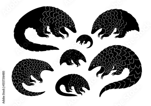 Silhouette Detailed Pangolin Animal Collection Wildlife Species Endangered Mammal Illustrations