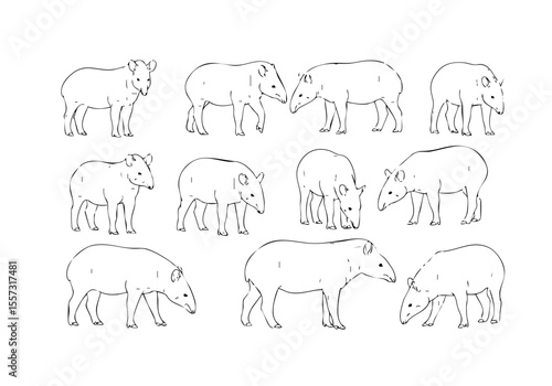Dotted Line Style Tapir Silhouettes Cute Illustration Animal