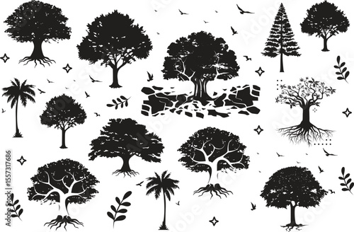 Various tree vectors. Forest and nature concept. Collection of different tree symbols. Education and training poster design. Vector drawn for plant and tree presentation.