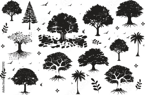 Various tree vectors. Forest and nature concept. Collection of different tree symbols. Education and training poster design. Vector drawn for plant and tree presentation.