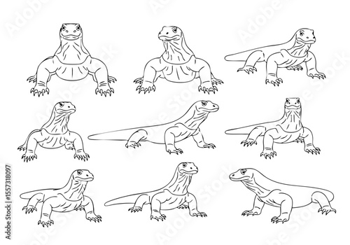 Handdrawn Various Pose Komodo Dragon Illustration Line Art Collection