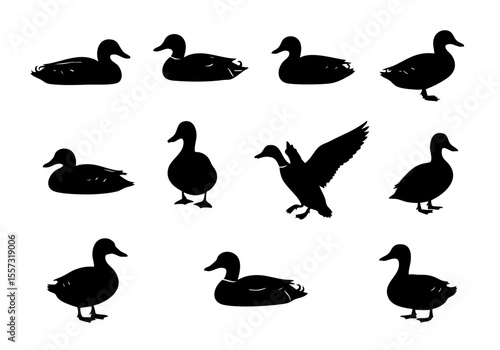 Simple Silhouette Duck Wildlife Bird Animal Illustration Graphic Elements