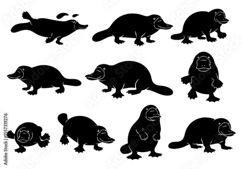 Silhouette Illustration of Adorable Platypus in Different Poses Animal Silhouette